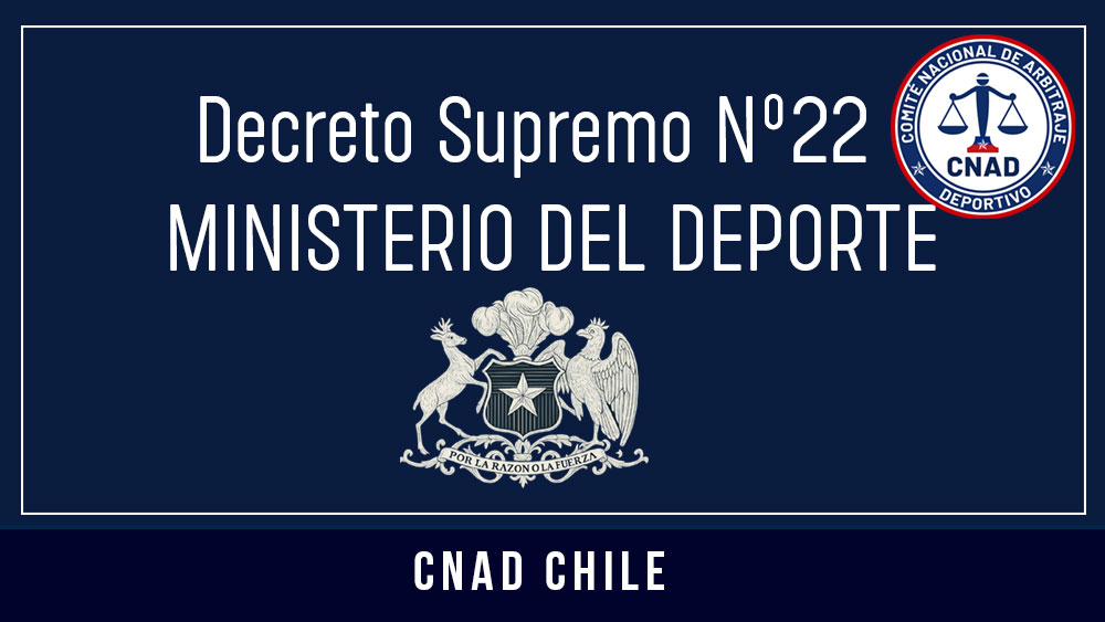 D.S. Nº22 (2020)